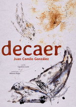 Poster de la película decay