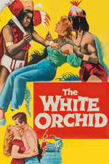 Poster de la película The White Orchid