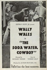 Poster de la película The Soda Water Cowboy