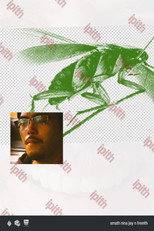 Poster de la película cockroach
