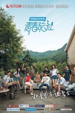 Poster de la serie Youth Inn