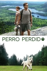 Poster de la película Perro perdido