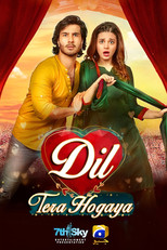 Poster de la película Dil Tera Hogaya