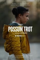 Poster de la película Possum Trot