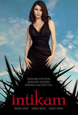 Poster de la serie İntikam