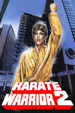 Poster de la película Karate Warrior 2