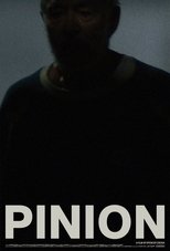 Poster de la película Pinion