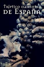 Poster de la película Tríptico elemental de España