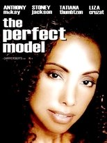 Poster de la película The Perfect Model