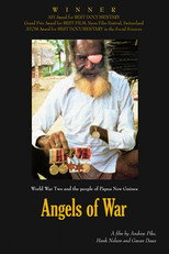 Poster de la película Angels of War