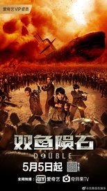 Poster de la película Double