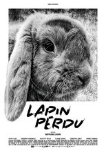 Poster de la película Lost Rabbit