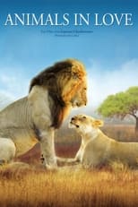 Poster de la película Animals in Love