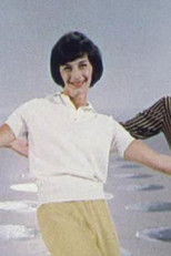 Poster de la película Everything but Everything in Bri-nylon