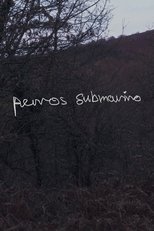 Poster de la película Perros submarino