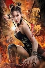 Poster de la película The Queen of Kung Fu