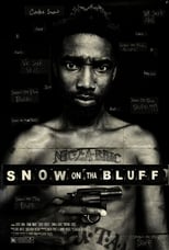 Poster de la película Snow on tha Bluff