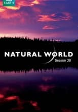 Natural World