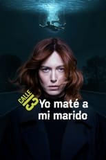 Poster de la serie Yo maté a mi marido