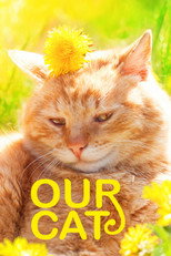 Poster de la película Our Cat