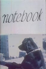 Poster de la película Notebook