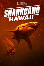 Poster de la película Sharkcano: Hawaii