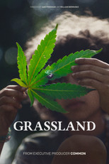 Poster de la película Grassland
