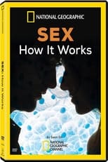Poster de la película Sex How It Works