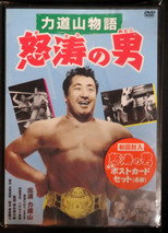 Poster de la película Rikidozan: Man of Fury