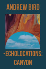 Poster de la película Echolocations: Canyon