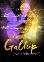 Poster de la película Gallup (Na'nízhoozhí)