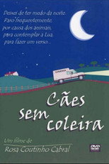 Poster de la película Cães Sem Coleira