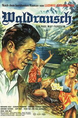 Poster de la película Waldrausch