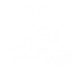 Logo The Senator Was Indiscreet