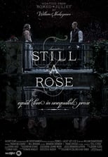 Poster de la película Still a Rose