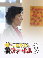 Poster de la película Shin Jidan Koshonin Ura File 3