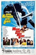 Poster de la película Where Love Has Gone