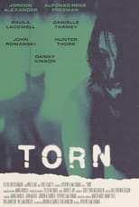 Poster de la película Torn