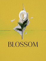 Poster de la película Blossom