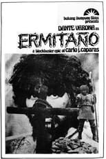 Poster de la película Ermitaño