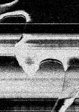 Poster de la película in vanished mist;