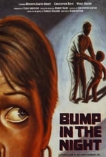 Poster de la película Bump in the Night