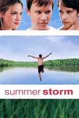 Poster de la película Summer Storm