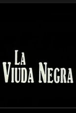 Poster de la película La viuda negra