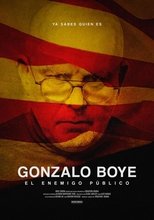 Poster de la película Gonzalo Boye, el enemigo público