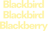 Logo Blackbird Blackbird Blackberry