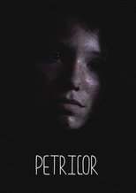 Poster de la película Petricor