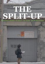 Poster de la película The Split-Up