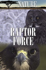 Poster de la película Raptor Force