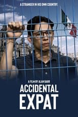 Poster de la película Accidental Expat